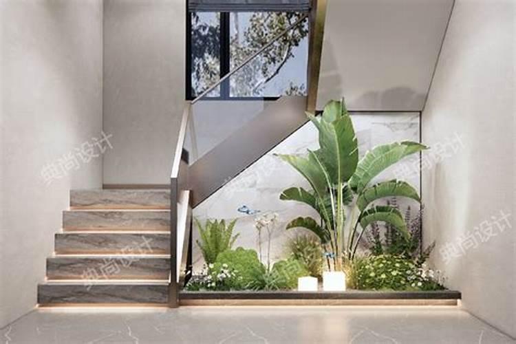 楼梯放什么植物风水好