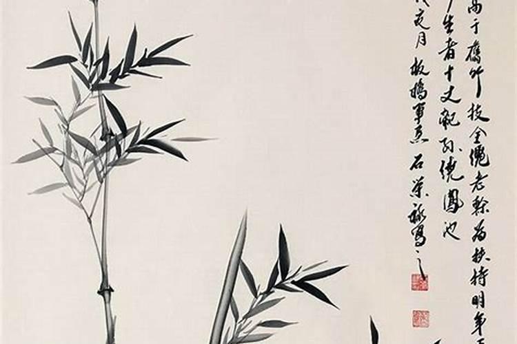 竹子如何摆放 风水