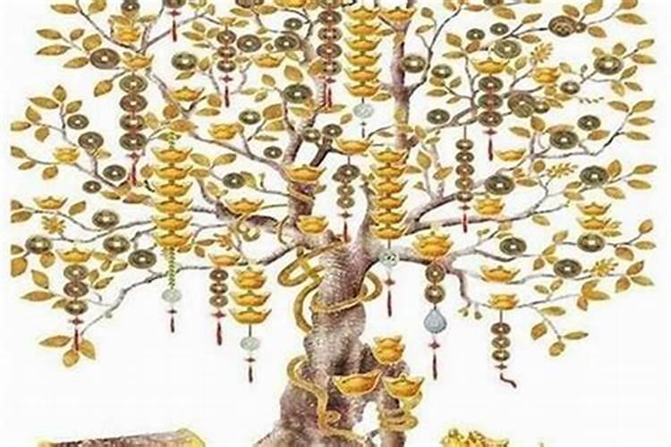 正北厨房适宜放什么绿植？