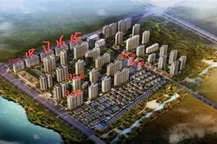 楼梯下放什么最旺风水