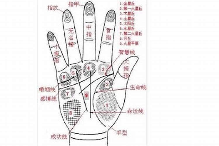 如何通过中指看运势好坏？
