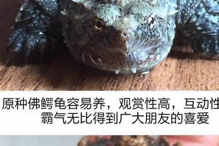 如何隐藏垃圾箱