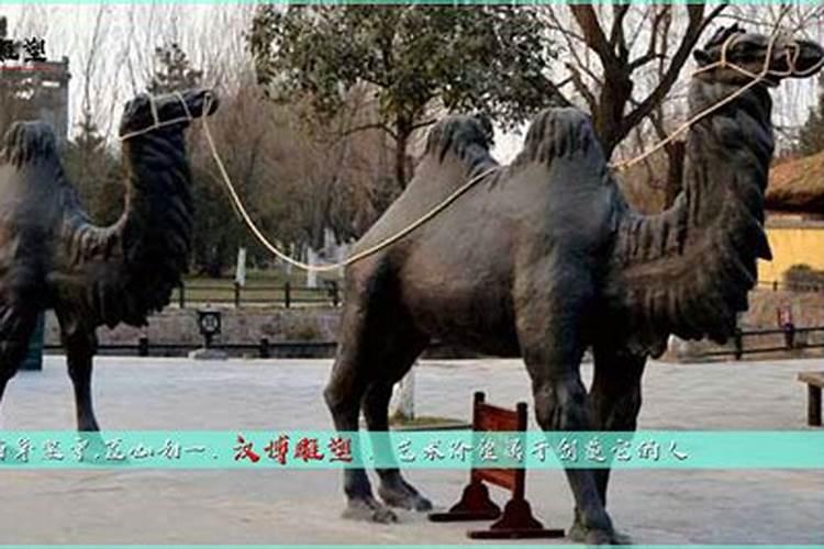 骆驼的在家风水摆法