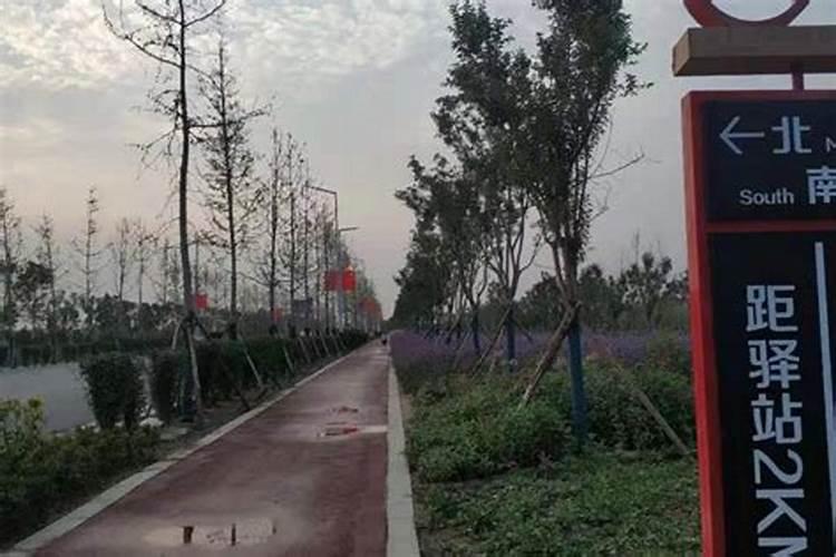 农村大量利用土地建造房子,对生态会造成哪些破坏？