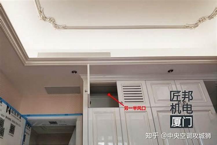 办公室进门放什么植物好
