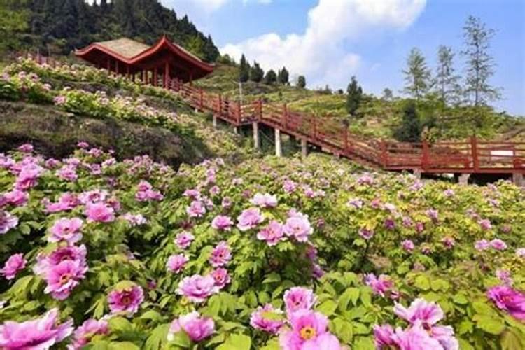 青石头摆放家里什么位置好 青石头摆放在家里哪个位置合适