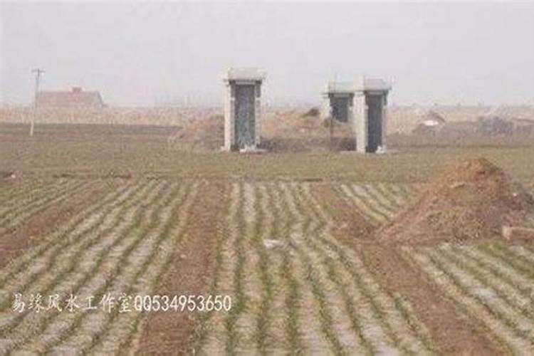 几根木杆对吗