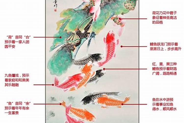 客厅挂什么鱼最旺财风水