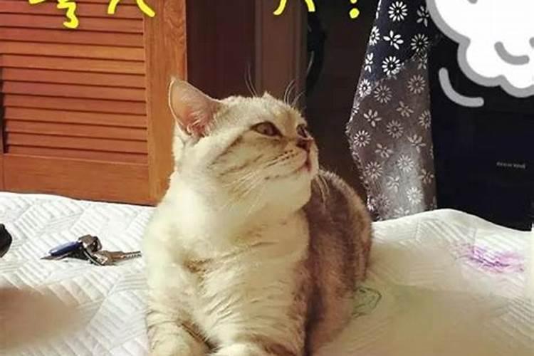 如何请风水师看房子风水找风水师看房子要注意什么事项呢？
