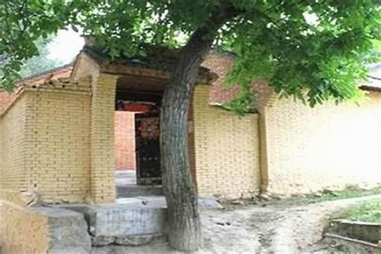 自建楼大厅前三步台和五步台哪个风水好