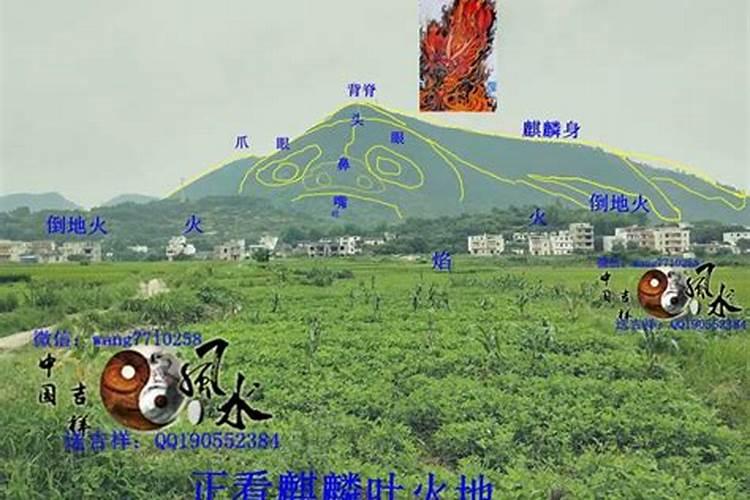 针对风水麒麟有什么作用
