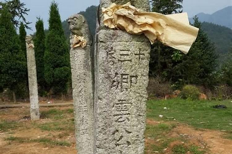 厨房对着小卧室门植物盆栽放哪里比较好？