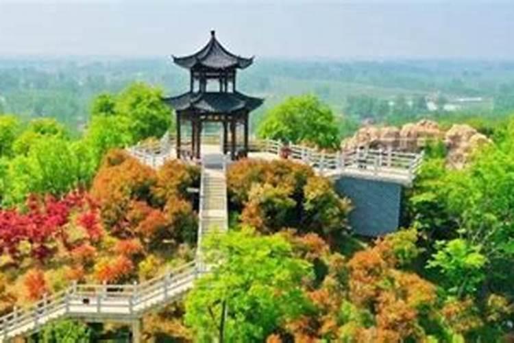 坟地向口有多少种
