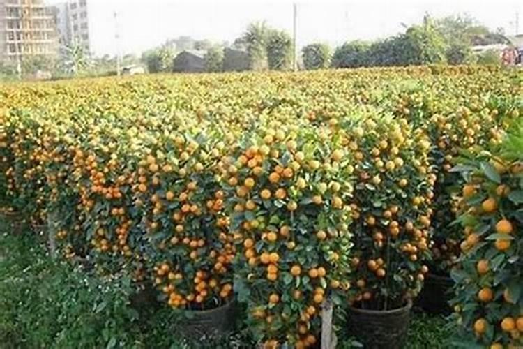 冰箱斜角柜门怎么量尺寸？