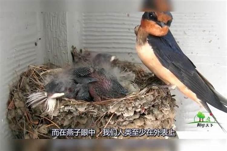 怎么注意农村小洋房的风水问题 住宅风水要点知识分享