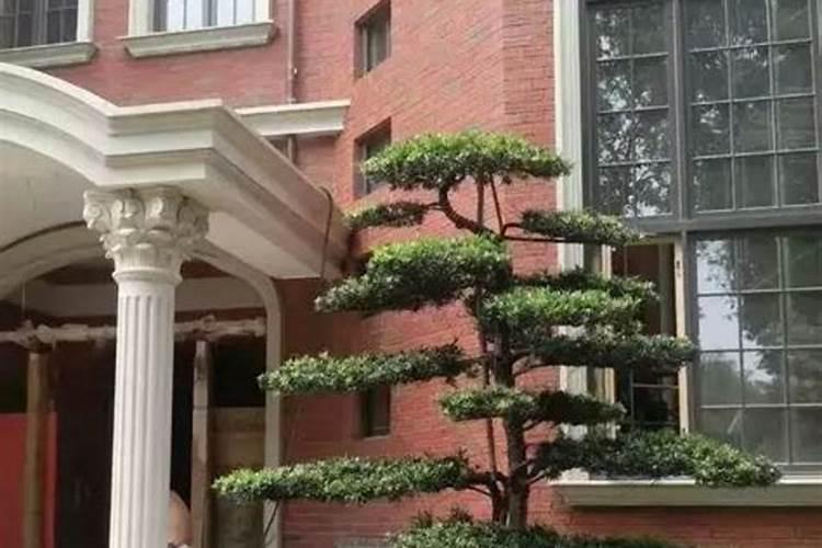 别墅大门前左右二边摆放什么号