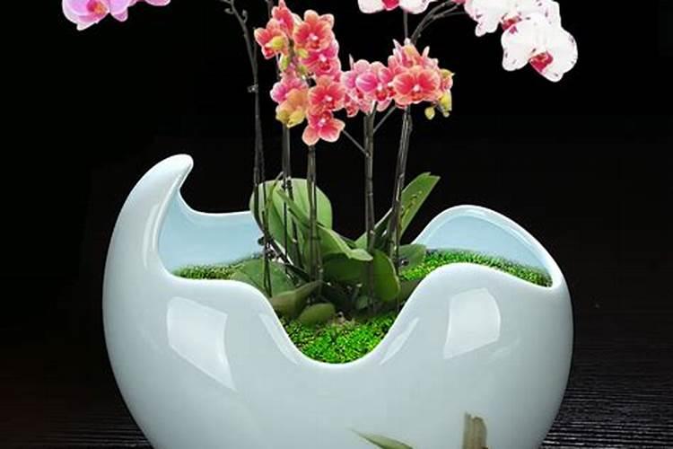 8后辣妈晒爱心小别墅舒适温馨3口田园之家
