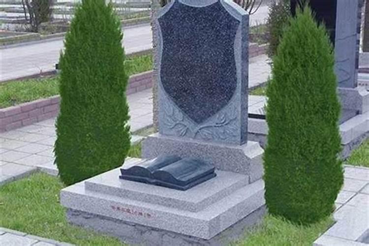 坟前种什么树不好