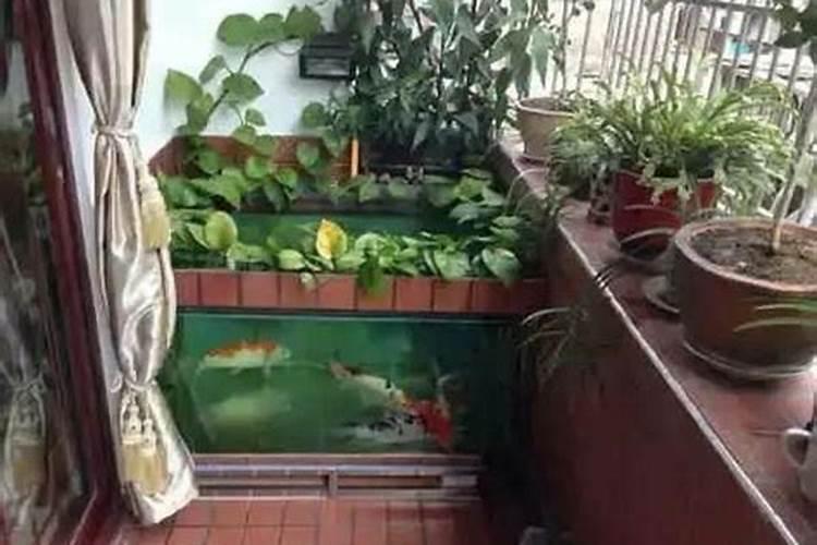 阳台养鱼风水上好吗？