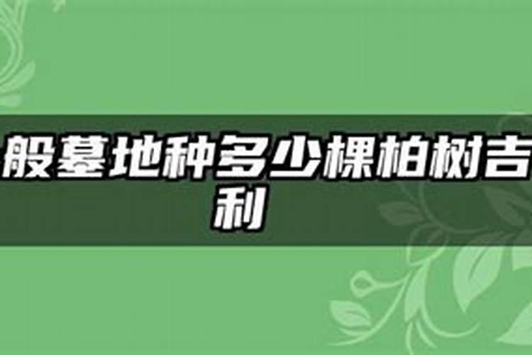 坟地种柏树的注意事项(种植柏树风水禁忌)