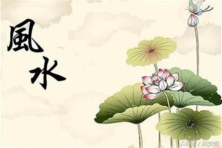 风水流派主要分为哪些