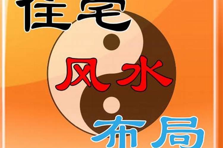 别墅门前种什么树好