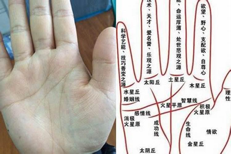 手相怎么算命？风水手相学
