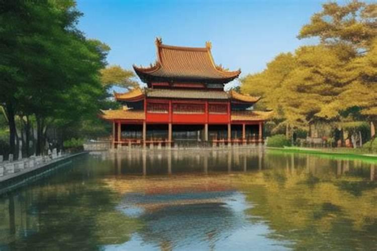 风水学中,摺睁木如何点穴？