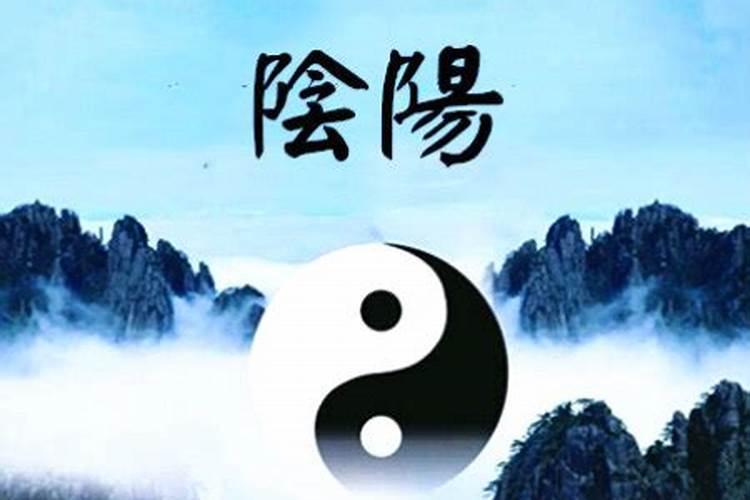 上海松江西林塔的位置
