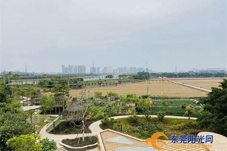 家里的财位适合放猫窝吗？