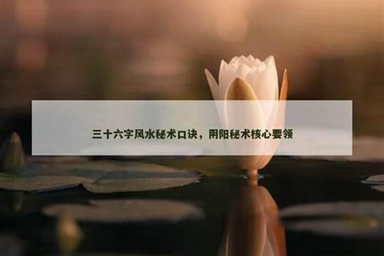 两人的办公室办公桌怎么摆放风水好