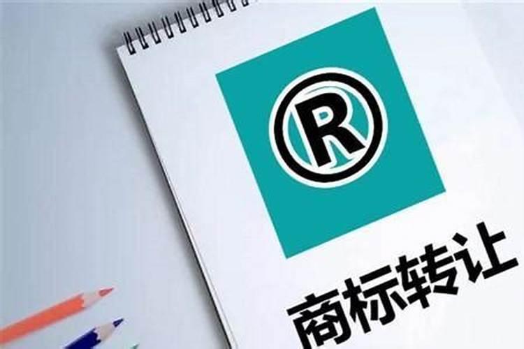 老祖宗说“屋前不栽松,坟前不植棕”,有道理吗？
