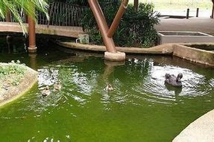 别墅如何朝向风水好