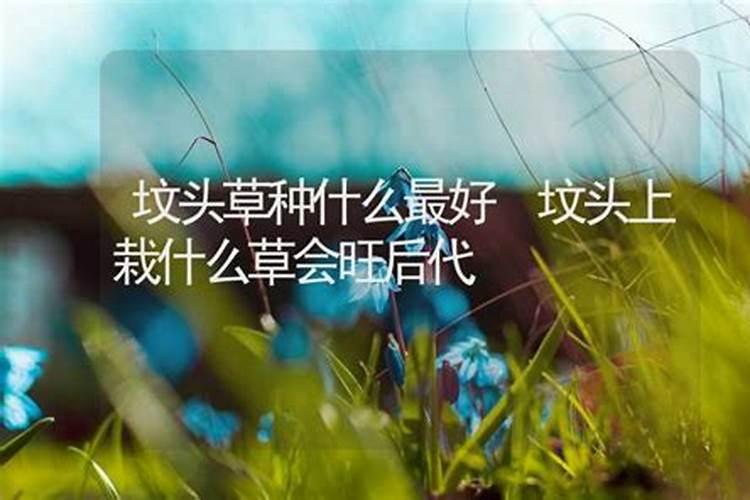陈益峰:旧坟常见风水规律