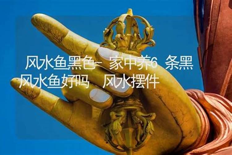 搬家买什么鱼有什么讲究吗