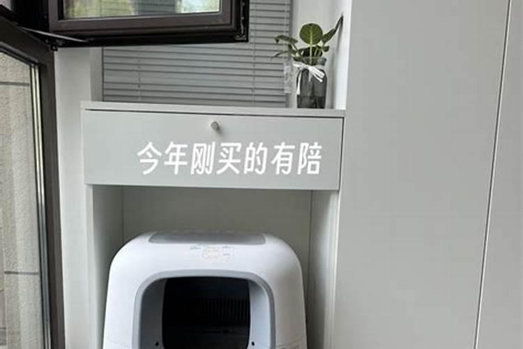 黄仙是什么