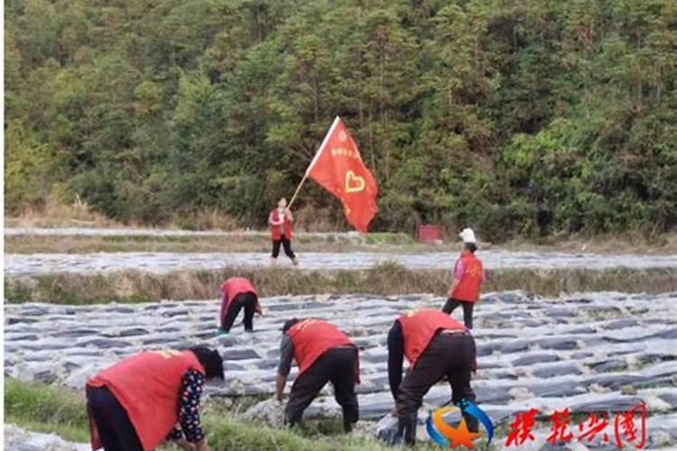 三僚村的兵灾纪录