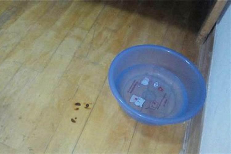 客厅垃圾桶的摆放风水