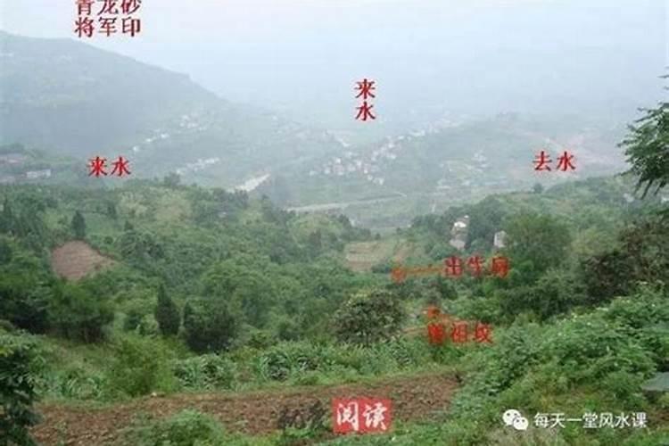 坟墓里有蛇代表什么 祖坟里有蛇好吗