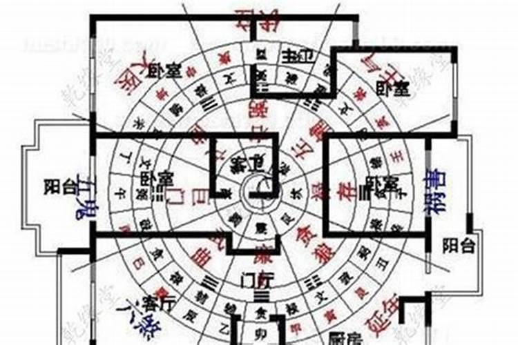 僵尸至尊石坚道长的绝招石坚的绝招叫啥来着？