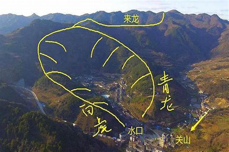 养白猫对风水有影响吗？
