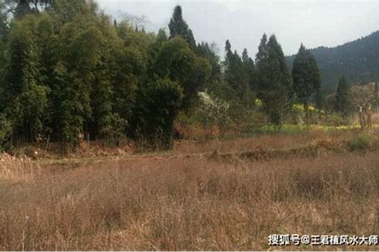 成都哪个区风水好
