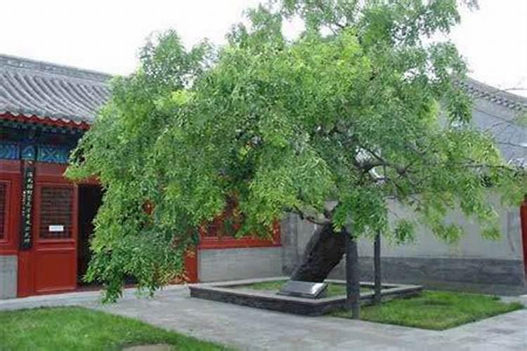 墓地左右方向是按祭祀人面对的方向说还是被埋葬人的方向说。