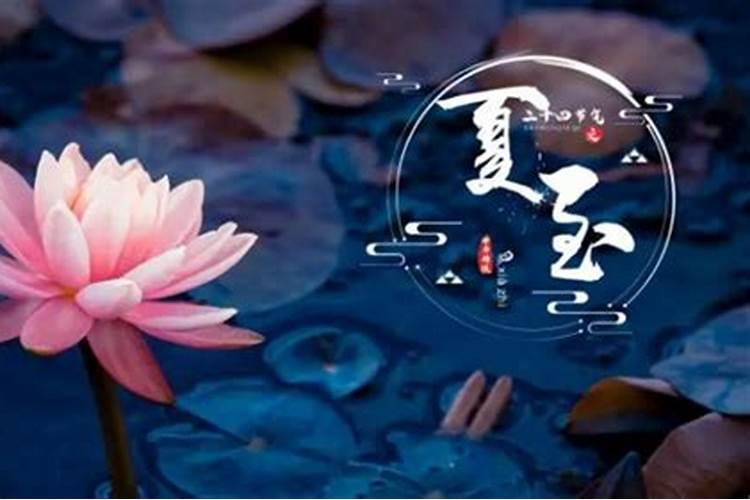 家里种九里香风水上有什么说法呢？