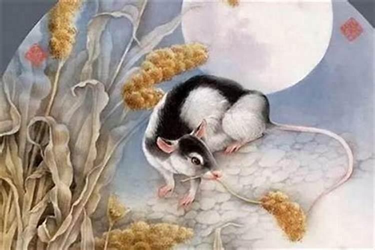 风水大师,12属相哪层面运势非常好