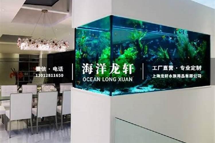 用鱼缸做客厅隔断好不好