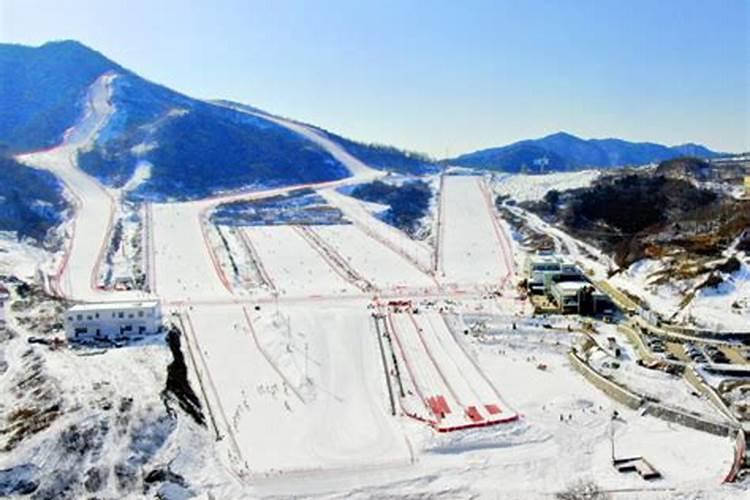 2024年犯太岁可以出门旅游吗需要注意什么？
