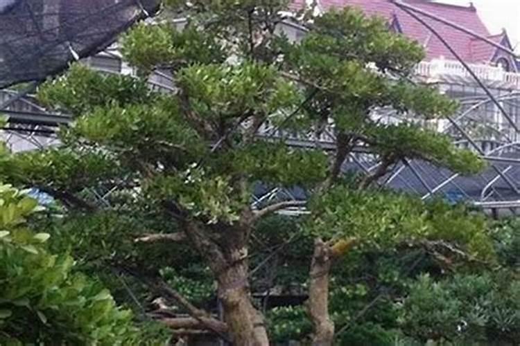 房子一直空着不住人好吗 有什么风水讲究？