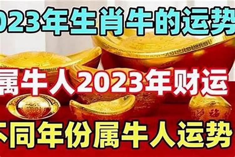 门背后可以放鞋柜吗