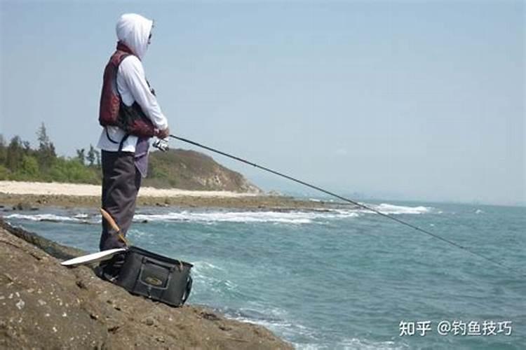 徐晨人物简介